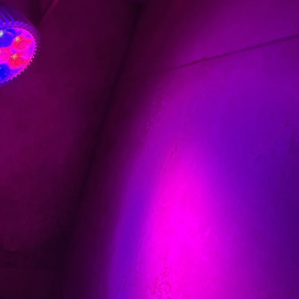 Clip-on LED Light With Adjustable Gooseneck Light In‎ The Color Of Purple Flex